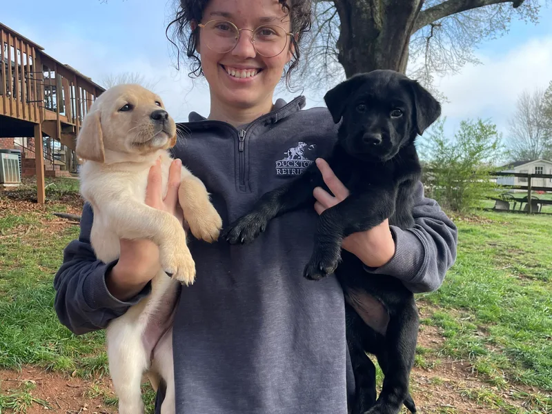 Ducktown Retrievers