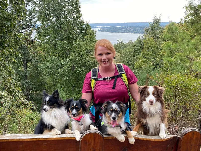 Dugger Mountain Aussies