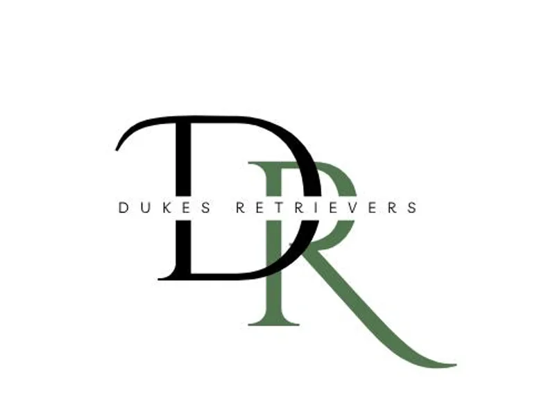 Dukes Retirevers