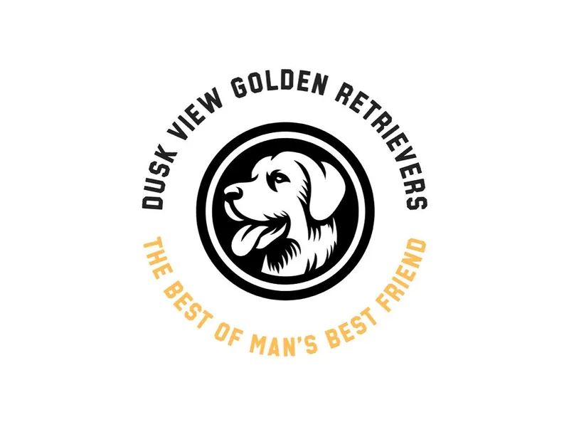Dusk View Golden Retrievers