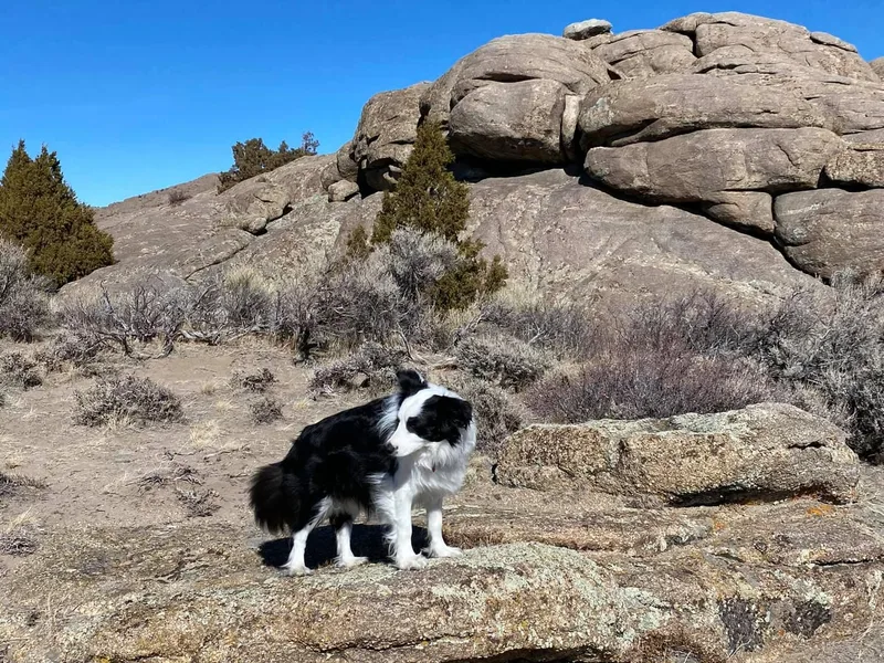Eagle River Breeders