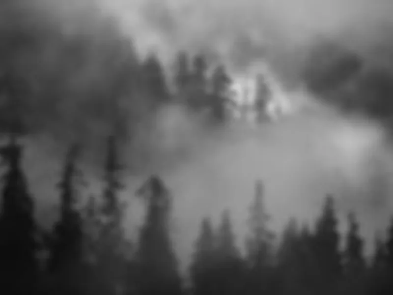 Eagle Valley Danes & French Bulldogs