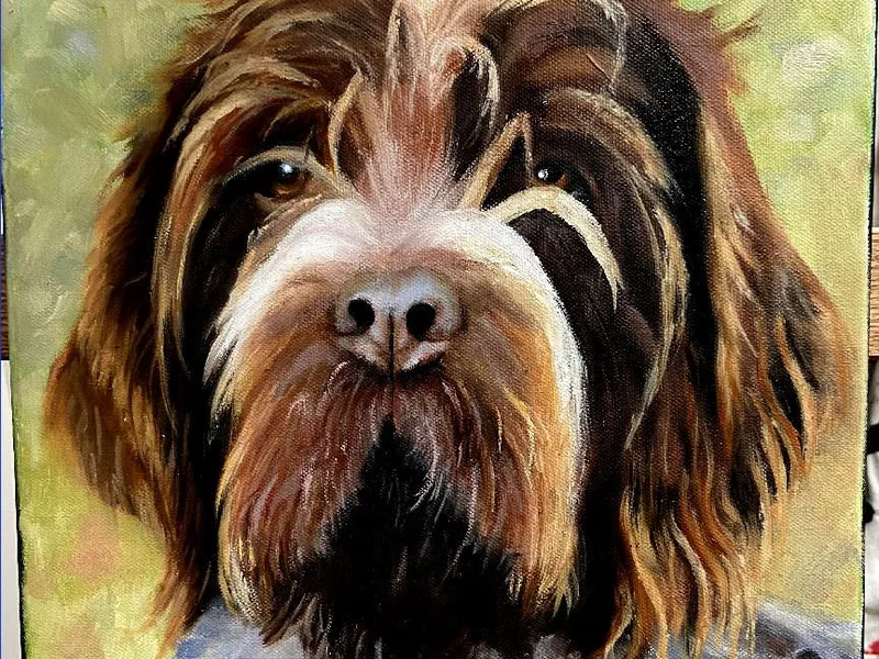 Ear Mountain Griffons