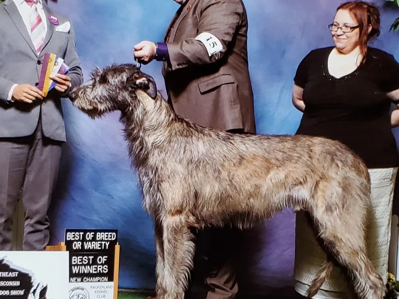 Earthsong kennel