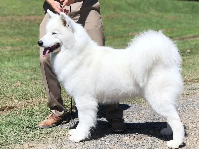 Easter’s Dogwood Acres