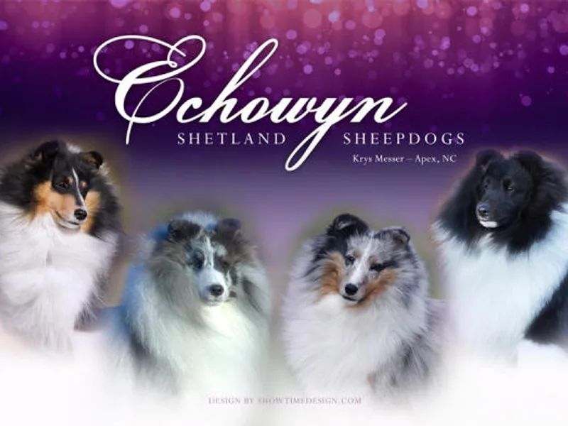 Echowyn Shelties - NC