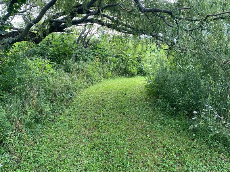 Edge of Eden Kennels