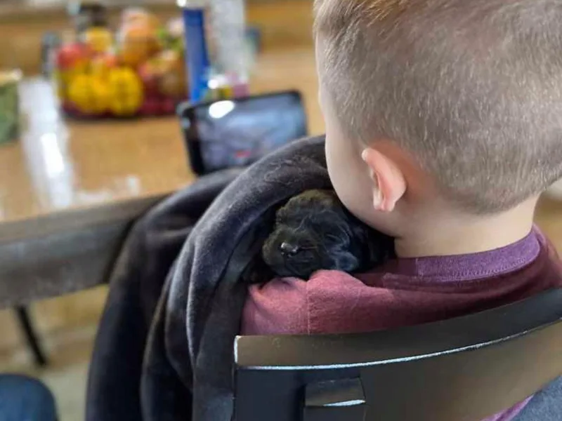 Edgewood Farm Kennel