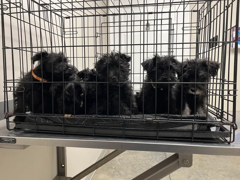 Edwin and Donna Lawrence