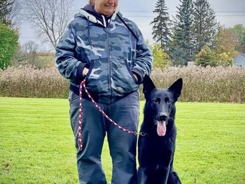 Eisengriff German Shepherds