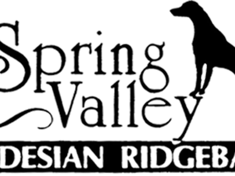 Elisabeth Szymanski- Maskova Borzoi and Spring Valley Ridgebacks