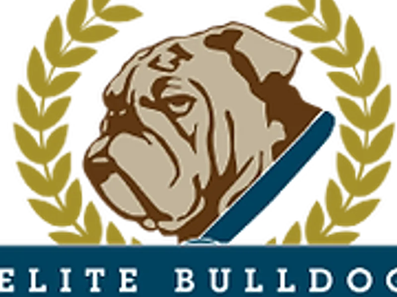 Elite Bulldog