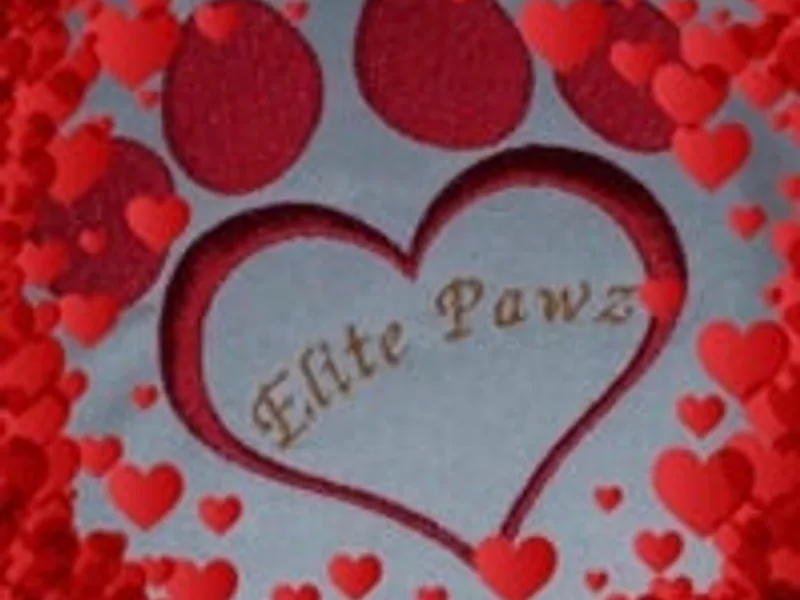 ELITEPAWZ photo 1