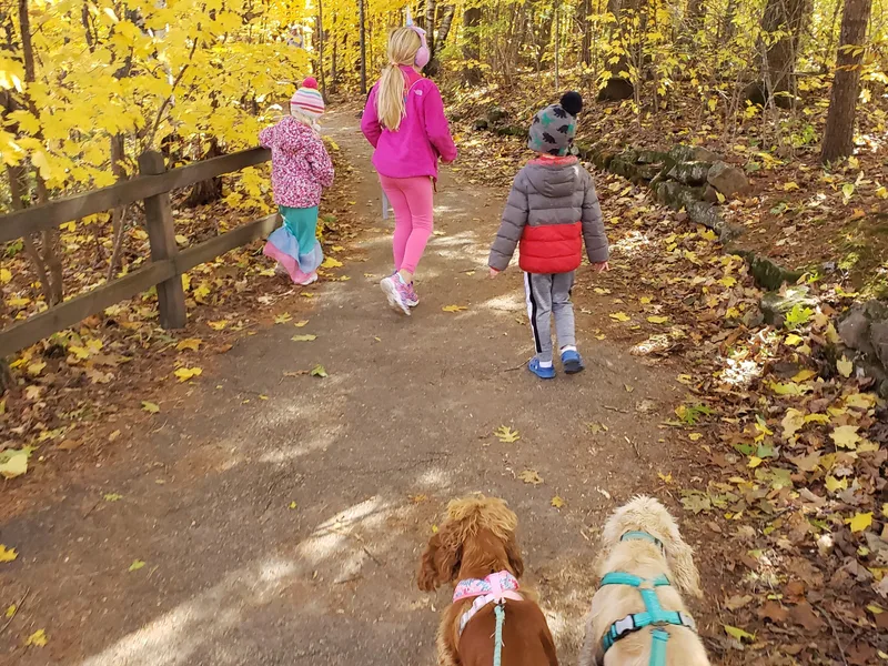 Elk Grove Cocker Spainels