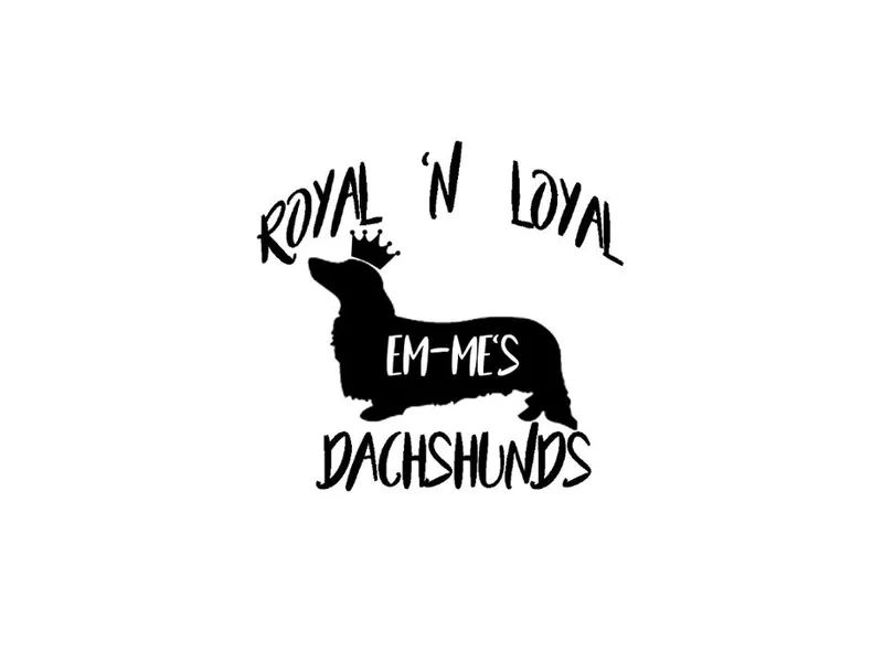 Em-Me's Royal 'n Loyal Dachshunds