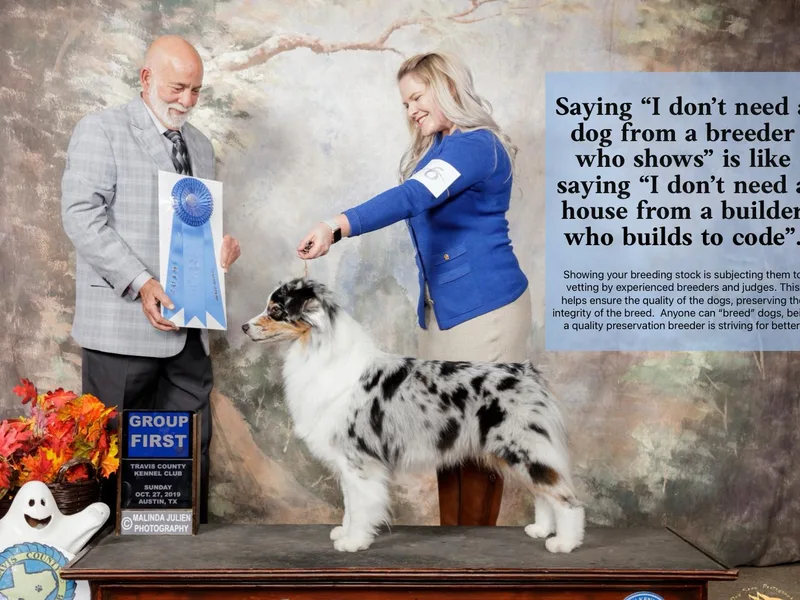 Emerald Isle Australian Shepherds