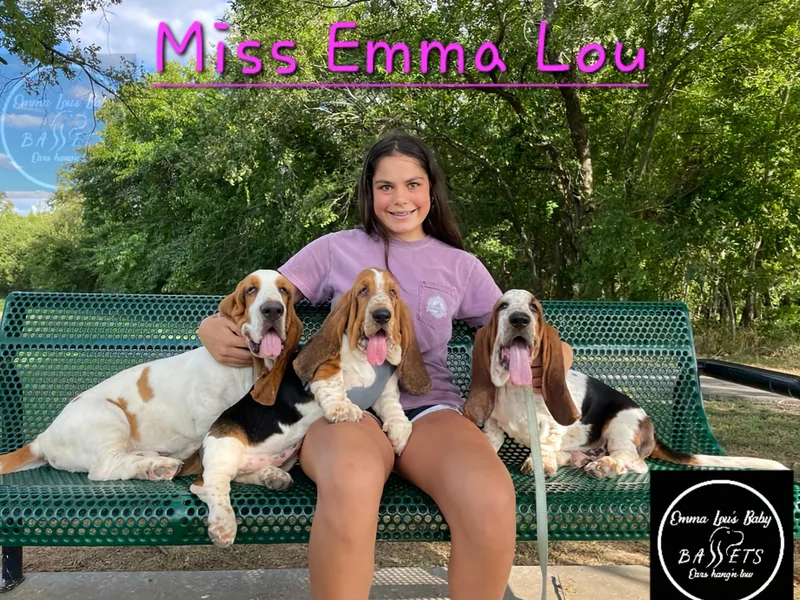 Emma Lou's Baby Bassets