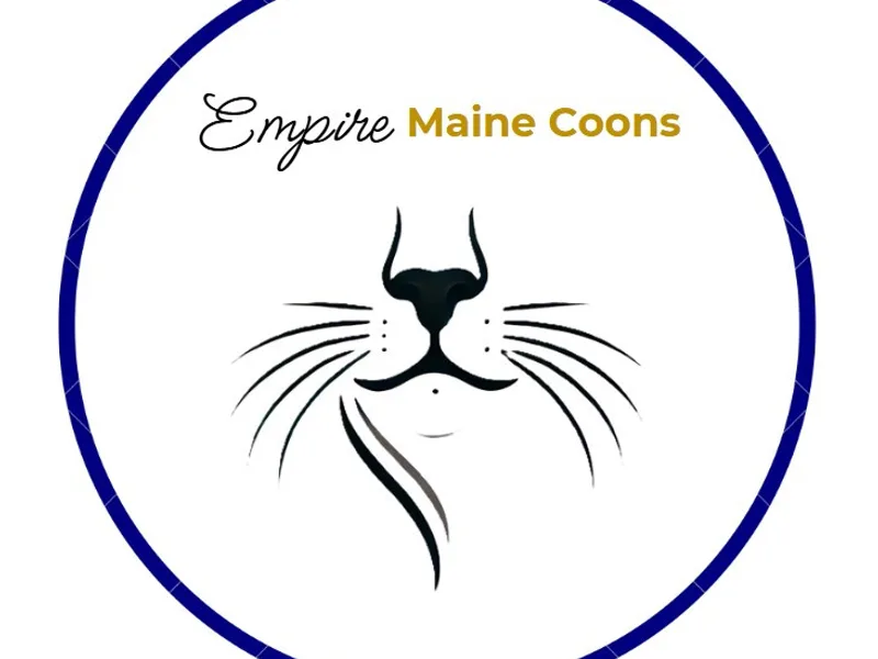 EmpireMaineCoon