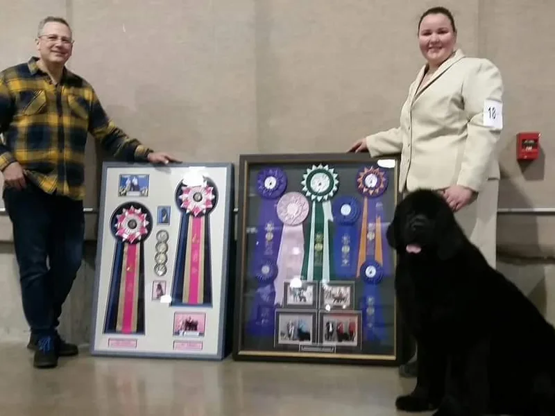 Enchanted Newfoundlands