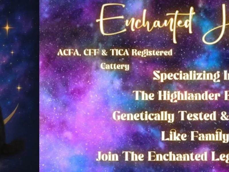EnchantedLander photo 1