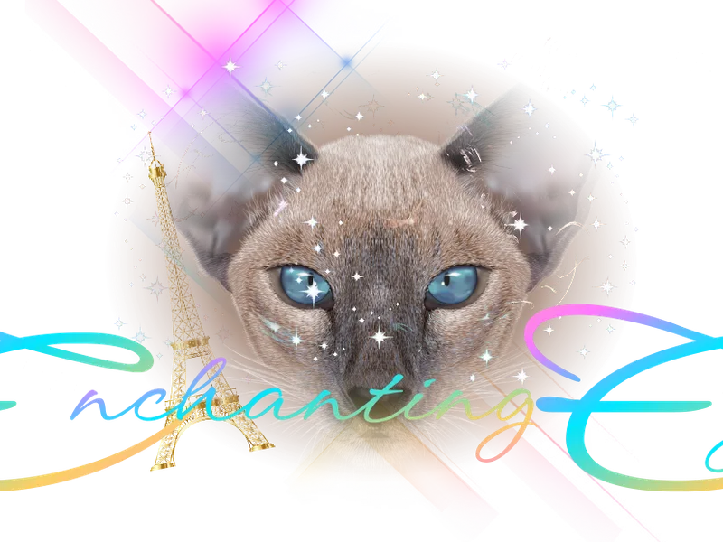 Enchantingeyes photo 1