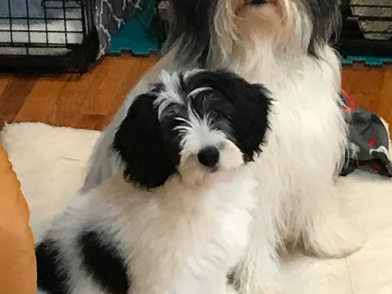 EnchantingPON photo 1