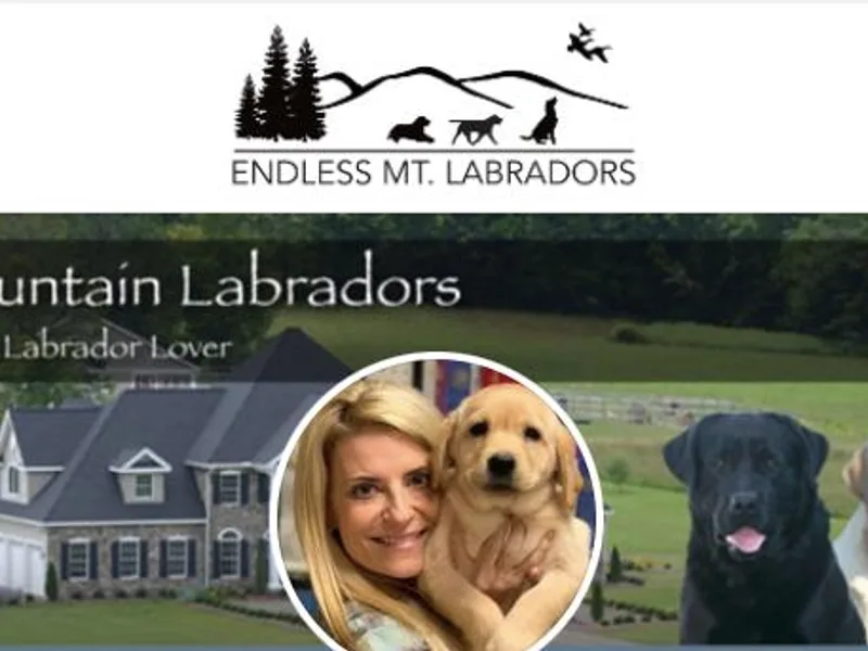 Endless Mt. Labradors