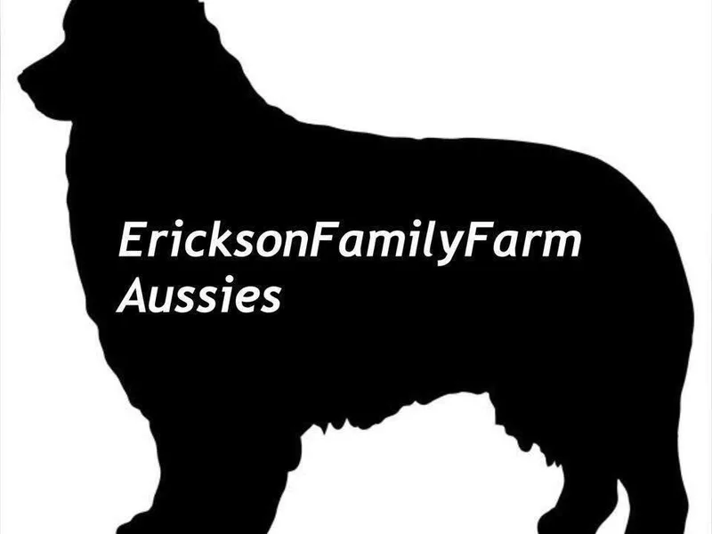 Erickson Famliy Farm Australian Shepherds
