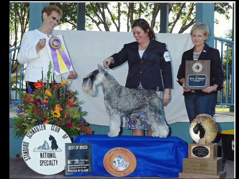 Ernhart &amp; Oblivion