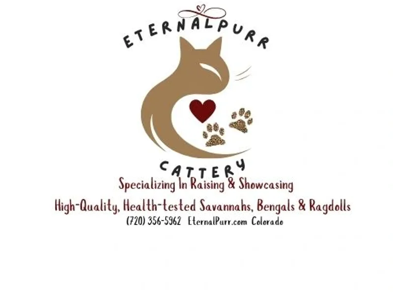 EternalPurr photo 1