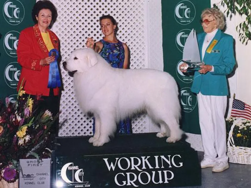 Euzkalzale Great Pyrenees
