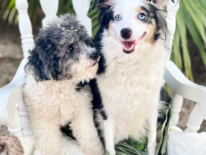 Ever After Mini Doodles