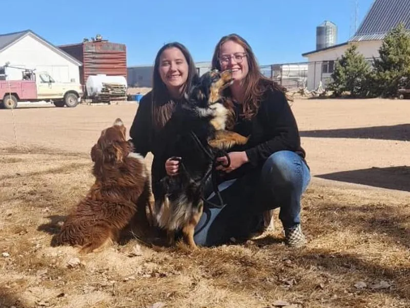 Evergreen Kennels photo 1