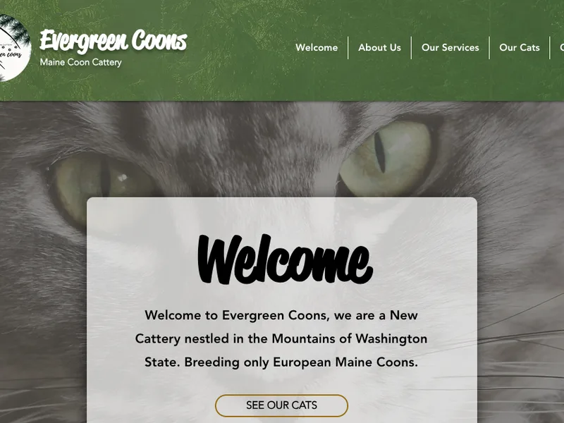 Evergreencoons photo 1