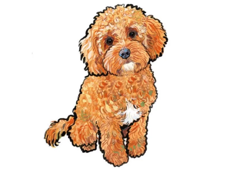 EvieDoodle photo 1