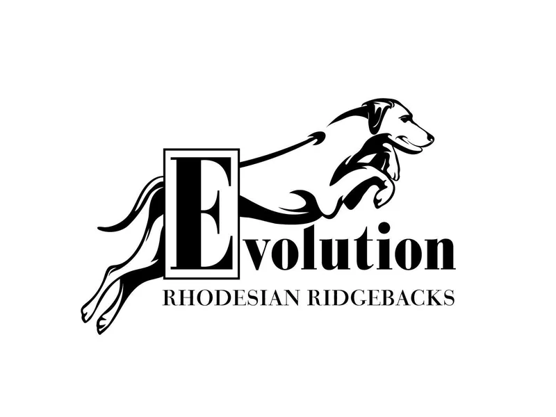 Evolution Rhodesian Ridgebacks
