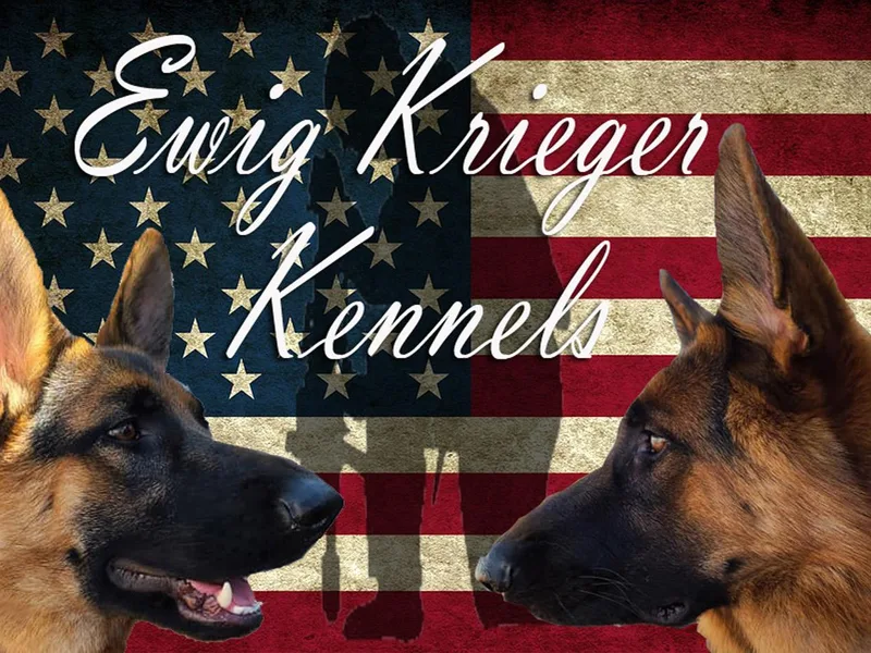 Ewig Krieger Kennels