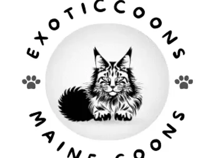 Exoticcoons