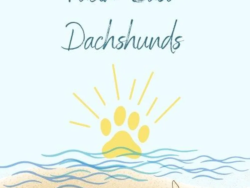 Facin East Dachshunds