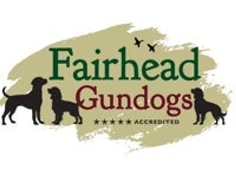 Fairhead Gundogs photo 1