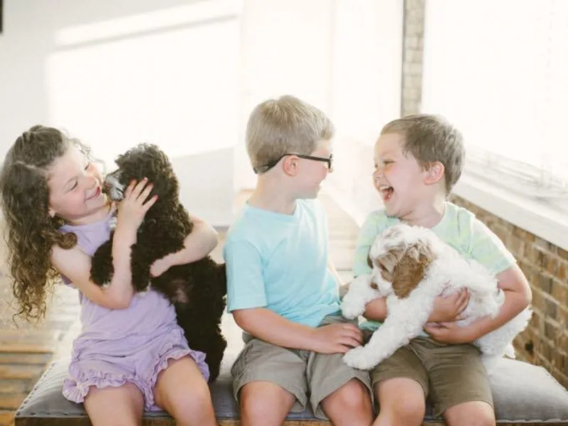 Fairytale Lane Australian Labradoodles