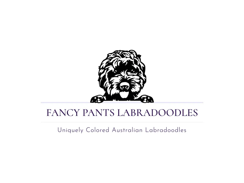Fancy Pants Labradoodles