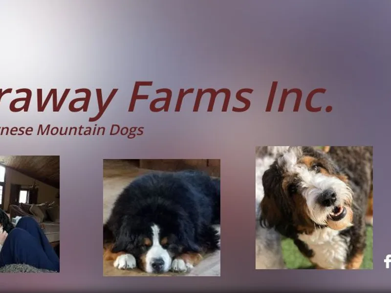 Faraway Farms Inc.