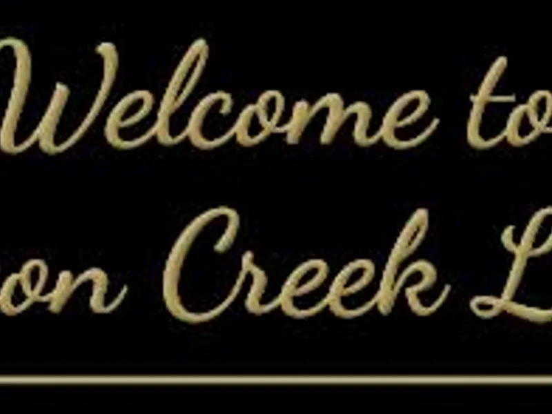 Farleys D Standard Poodles - Apricot, cream, red on occasion black