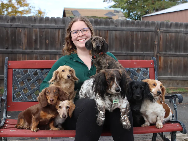 Farmhouse Dachshunds
