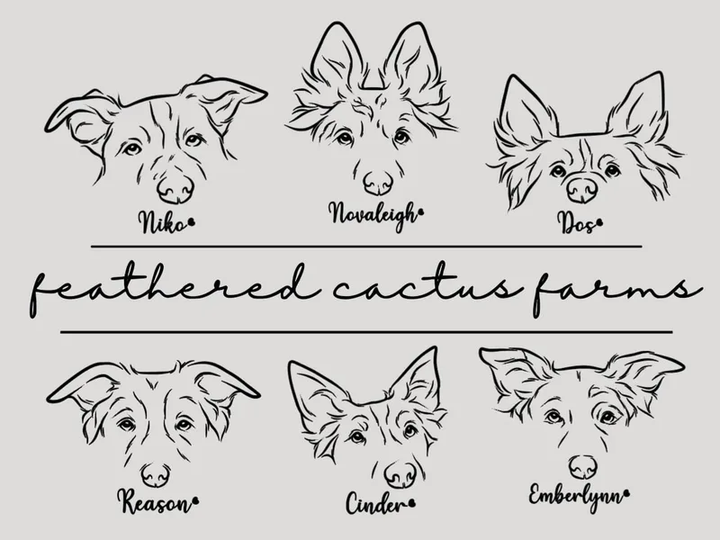 Feathered Cactus Farm