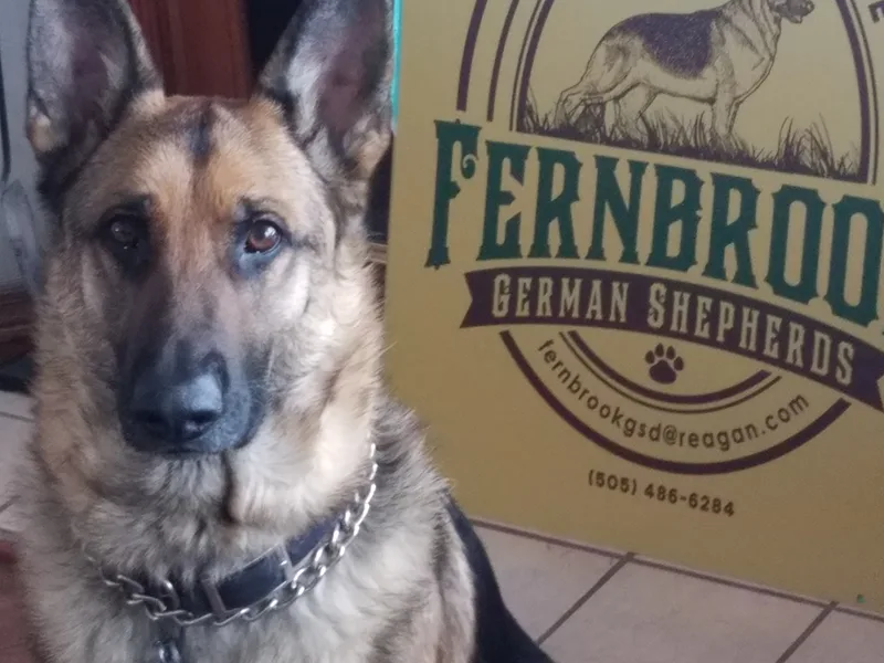 Fernbrook German Shepherds, LLC.