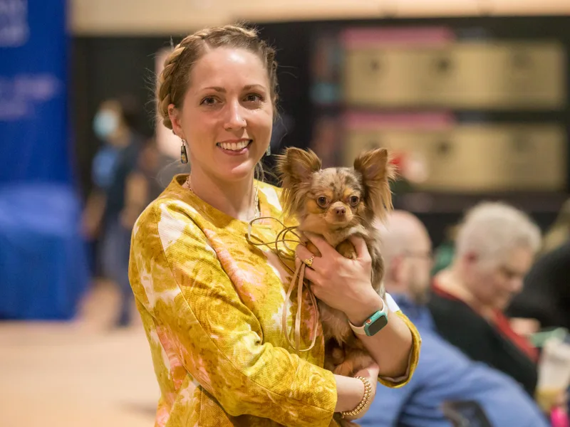 Fiddlefigg Chihuahuas