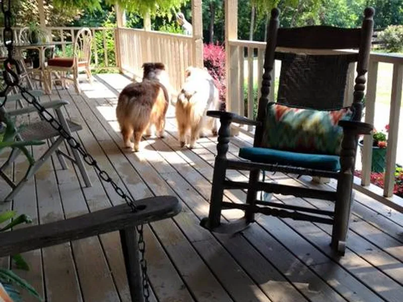 Fiddlers Green Australian Shepherds