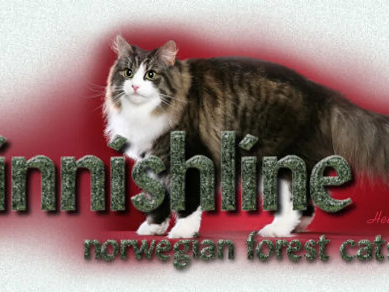 Finnishline photo 1